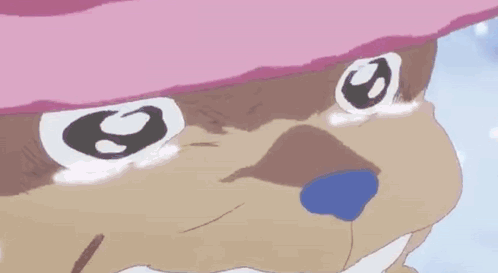 CHOPPER meme